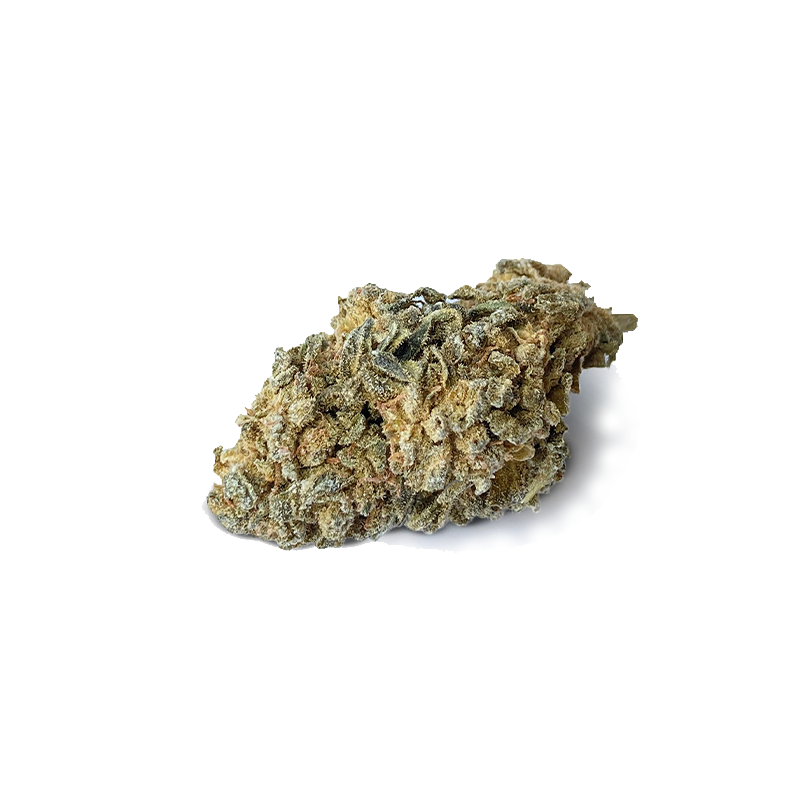 CBD-Blüte Austin Powers von I Love Pot: Grün-braune, dicht kristalline Cannabisblüte mit feinen Trichomen auf weißem Hinte...