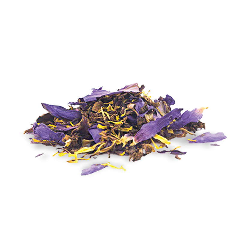 Blauer Lotus Tee mit getrockneten violetten Blütenblättern und gelben Fasern auf weißem Hintergrund von I Love Pot