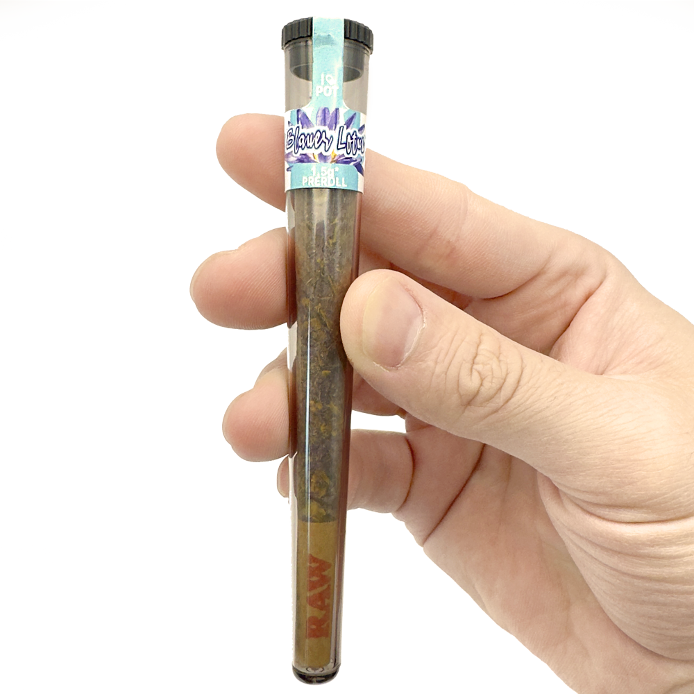 Hand hält Blauer Lotus Pre Roll mit lila Etikett, I Love Pot Bundle mit 5 Stück, Tabak-Verpackung sichtbar.
