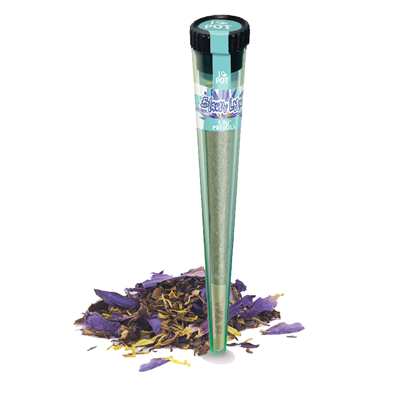 Blauer Lotus Pre Roll in grüner Verpackung mit schwarzem Deckel, umgeben von losen getrockneten Blüten in Blau- und Goldtö...