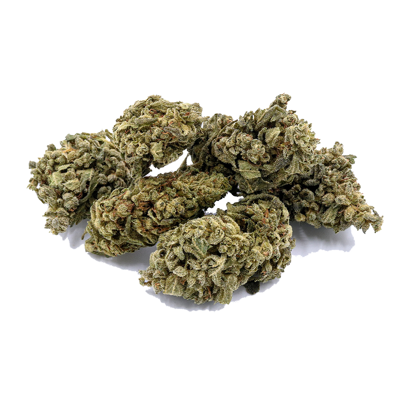 CBD-Blüte Blueberry Yum Yum von I Love Pot: Grüne, dicht verzweigte Cannabisblüten mit kristallinen Strukturen auf weißem ...