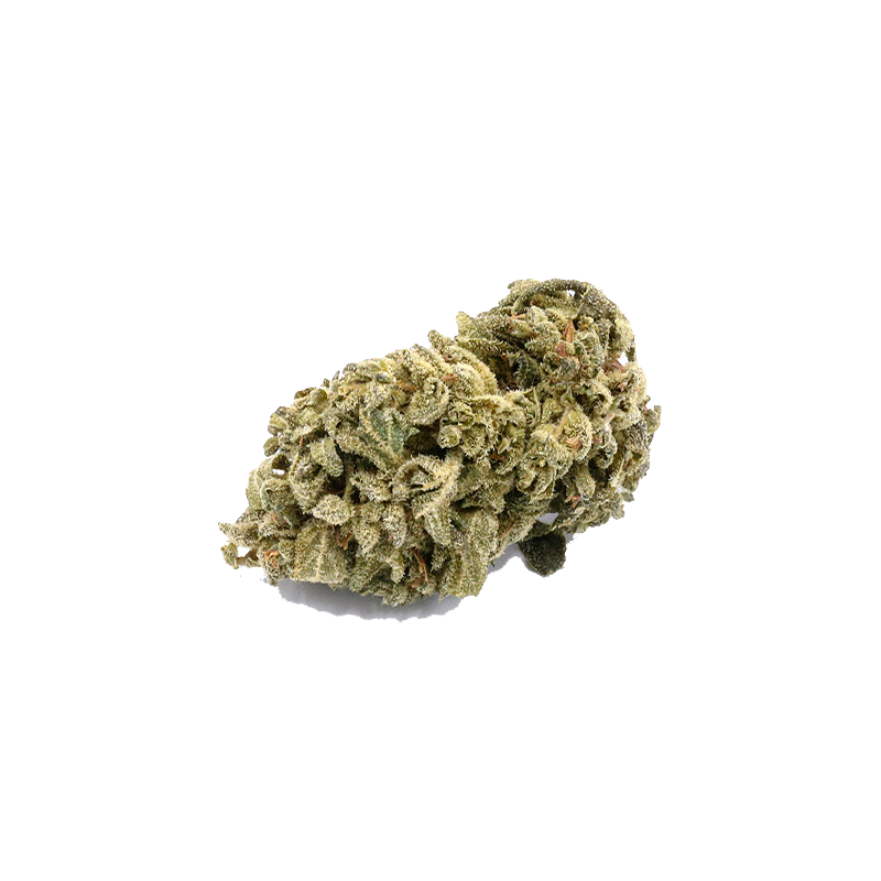 CBD-Blüte Blueberry Yum Yum von I Love Pot: Dichte, grüne Cannabisblüte mit kristallinem Trichom-Belag auf weißem Hintergr...