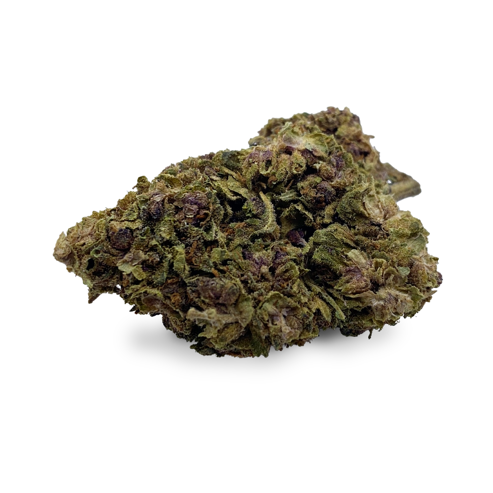 HHZ Blüte - Gorilla Glue