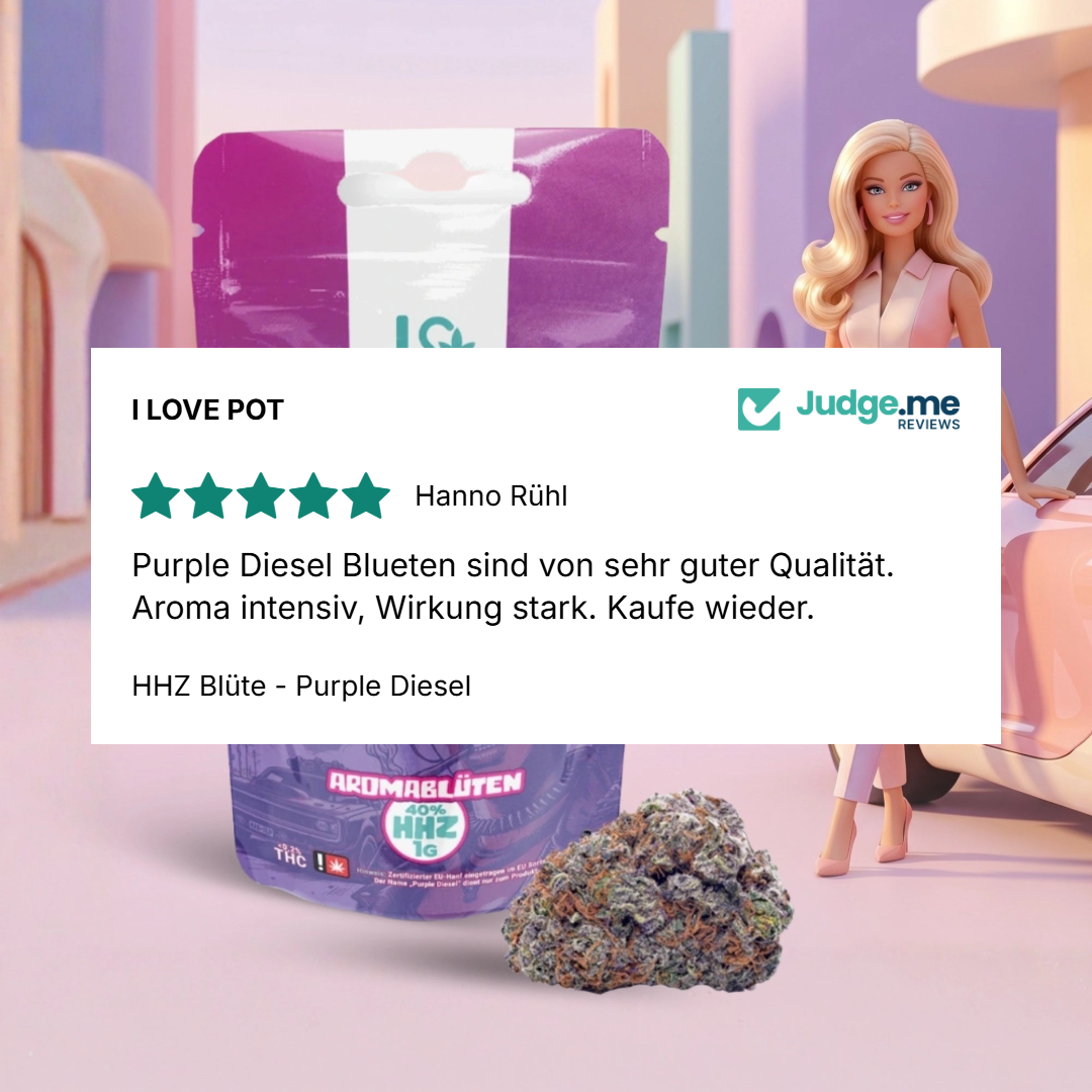 HHZ Blüte - Purple Diesel