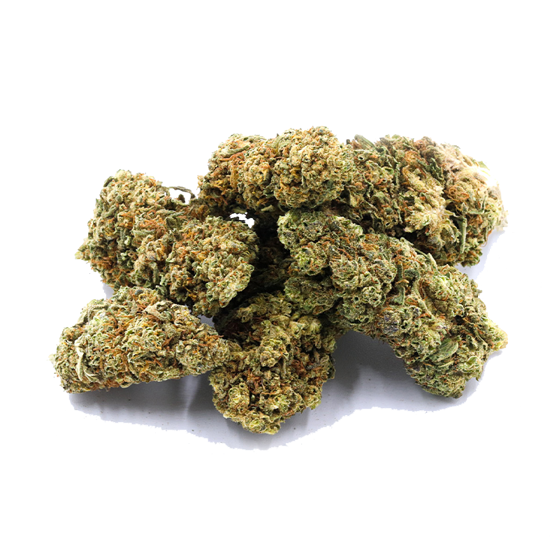 CBD-Blüte Harlequin von I Love Pot: Grüne, dicht verzweigte Blütenknospen mit goldenen Härchen auf weißem Hintergrund.