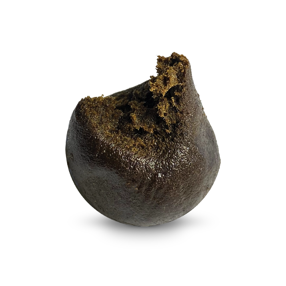 HHZ Hasch - Nepal Cream