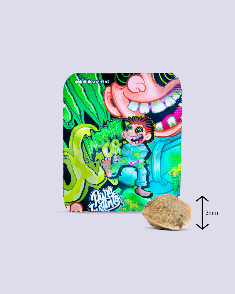 Insanity OG 30% THC - Feminisiert