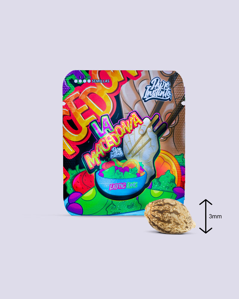 LA Macedonia 28% THC - Feminisiert