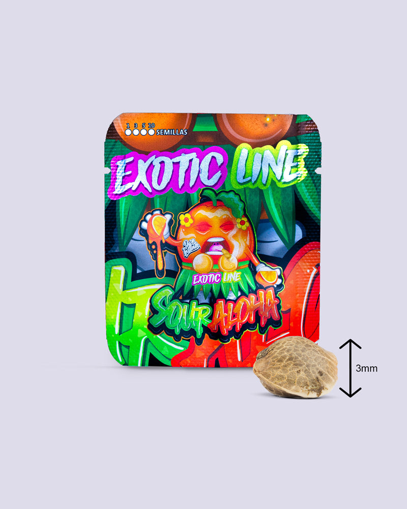 Sour Aloha 28% THC - Feminisiert