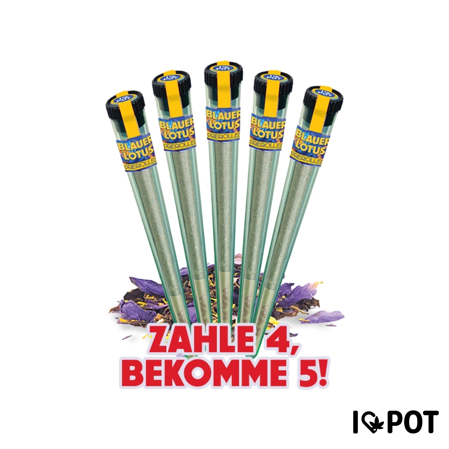 Blauer Lotus Pre Roll Bundle mit 5 Stück - fünf grüne Joints mit gelb-schwarzen Filtern und Blaubeer-Lotus Label auf weiße...