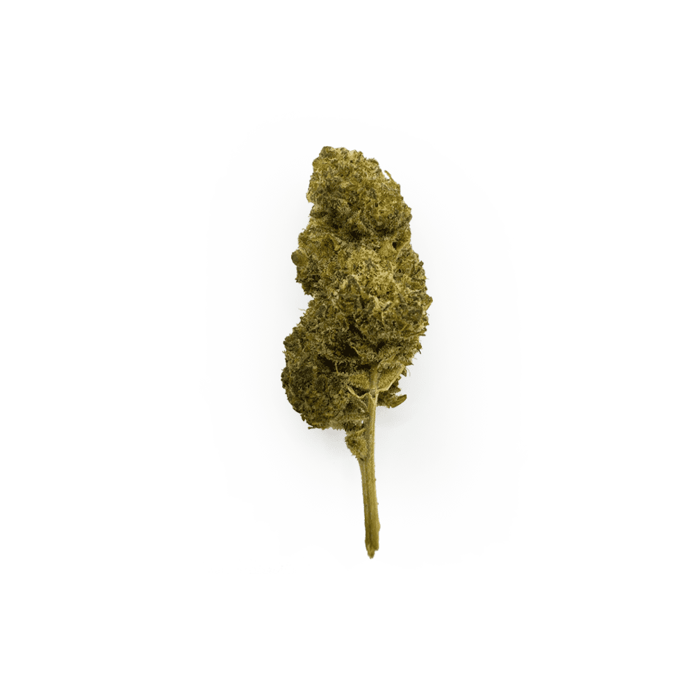 HHCP Blüte - Kosher Kush