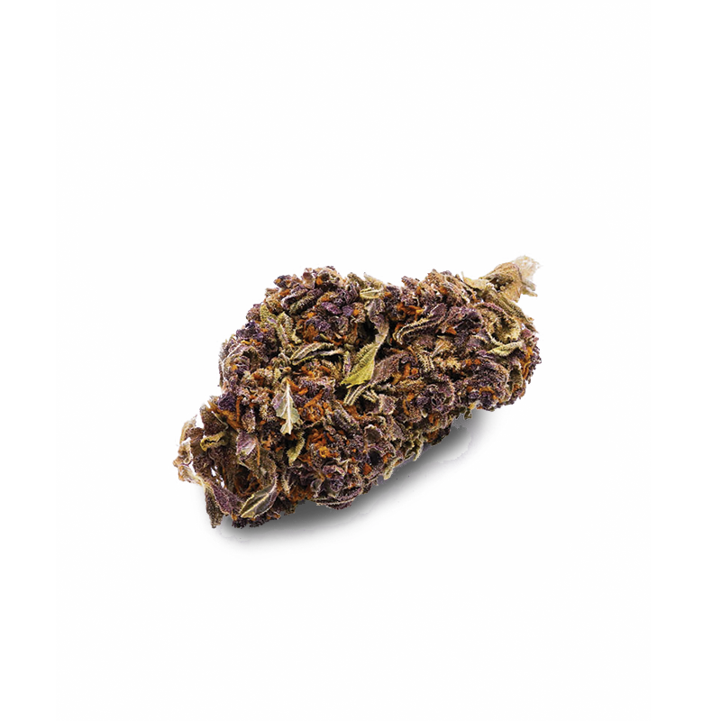 Getrocknete CBD Blüten in Braun- und Grüntönen mit dichter, krümeliger Struktur auf weißem Hintergrund - I Love Pot Bundle.
