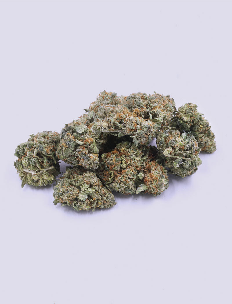 CBG-Blüte - Orange Skunk